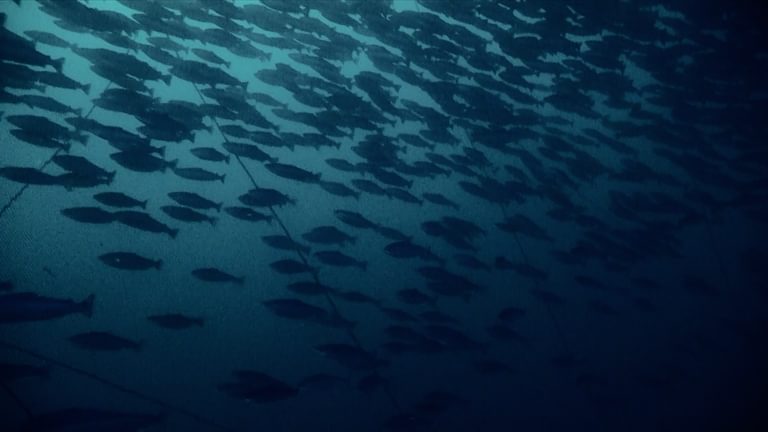 Screenshot 2025 10 09 at 11 21 32