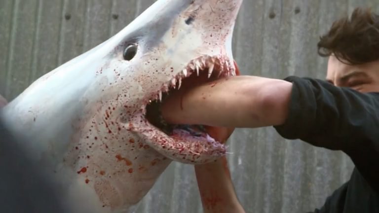 Syfy Shark Attack
