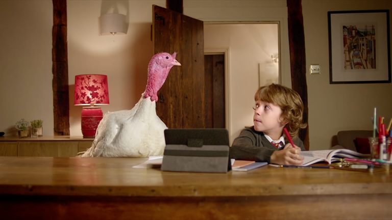 Terry the turkey