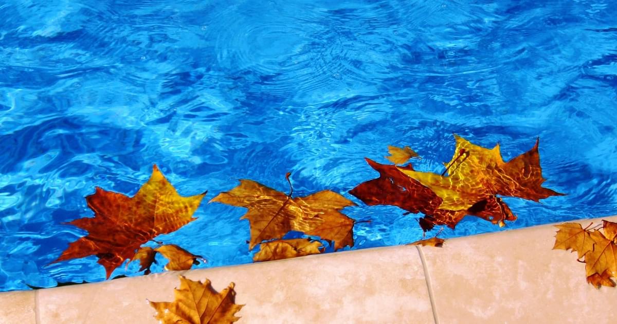 Probuilt Pool & Patio | How to Enjoy Your Pool in the Fall