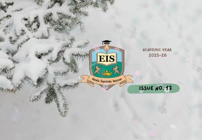 Blue Pink Green Minimal Flower Decorative Flag 21