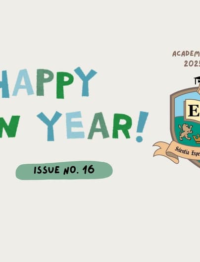 Blue Pink Green Minimal Flower Decorative Flag 27