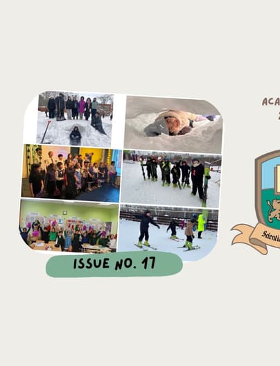 Blue Pink Green Minimal Flower Decorative Flag 32