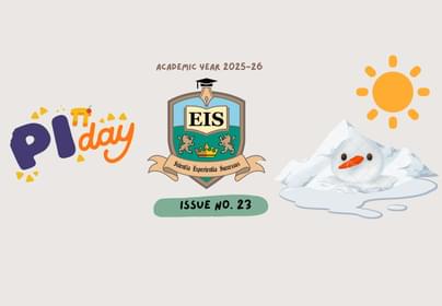 Blue Pink Green Minimal Flower Decorative Flag 45