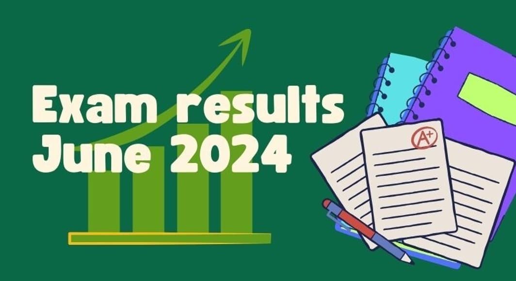 Green and Yellow Illustration School Tips Infographic 3