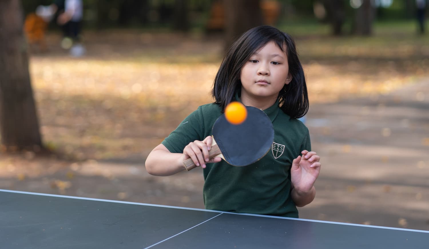 SW Co Curriculum Hero