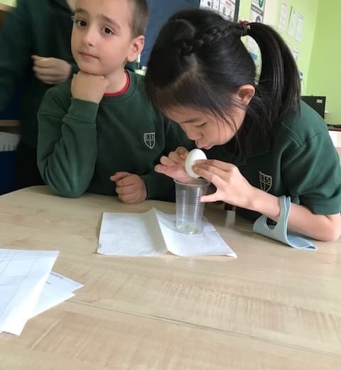 Egg citing egg speriments