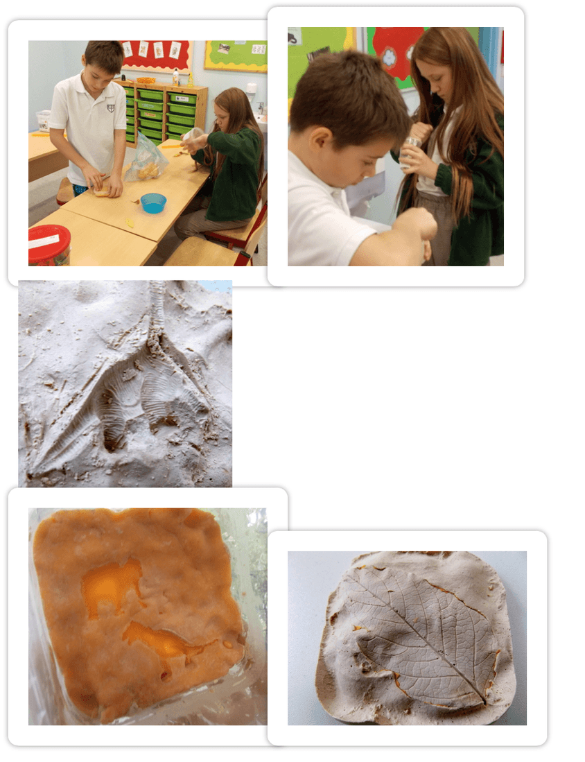 Fossils