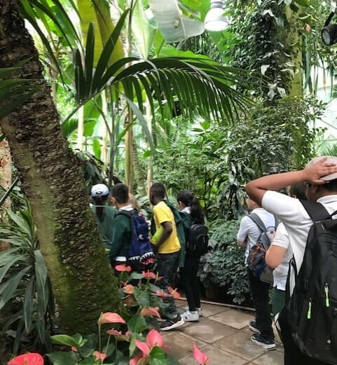 Hol4 2021 05 28 104600