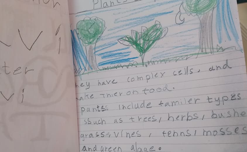 IMG 20210617 091328403