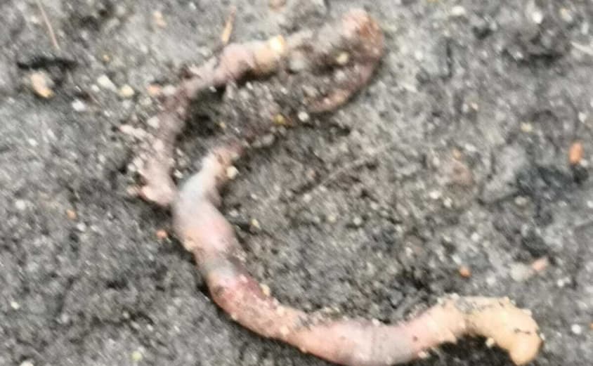 PHOTO 2021 04 23 08 38 092