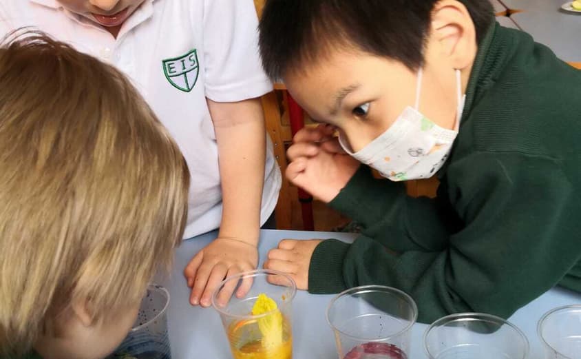 PHOTO 2021 04 30 08 47 262