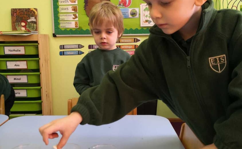 PHOTO 2021 04 30 08 47 291