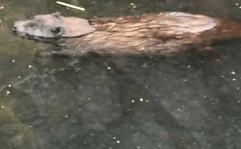 PHOTO 2021 06 18 08 36 44