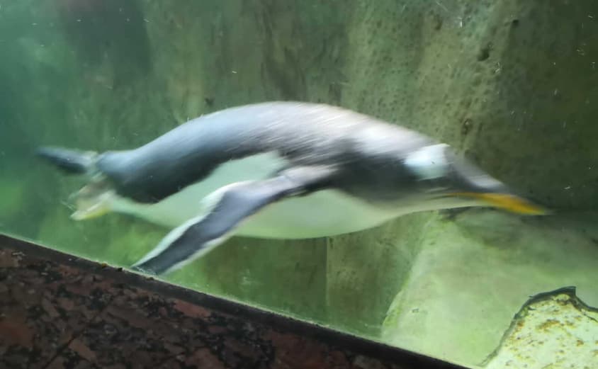 PHOTO 2021 06 18 08 36 491