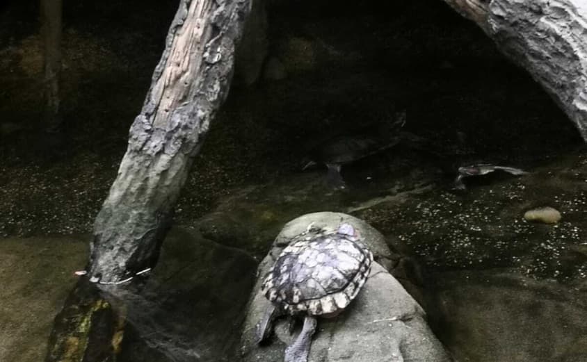 PHOTO 2021 06 18 08 37 443