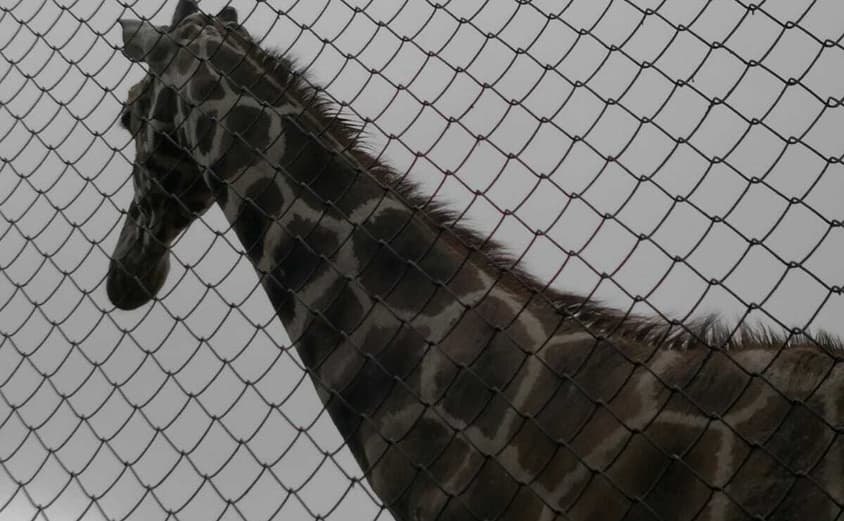 PHOTO 2021 06 18 08 37 481