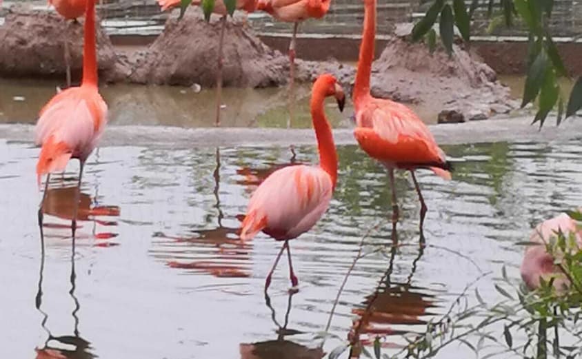 PHOTO 2021 06 18 08 37 50