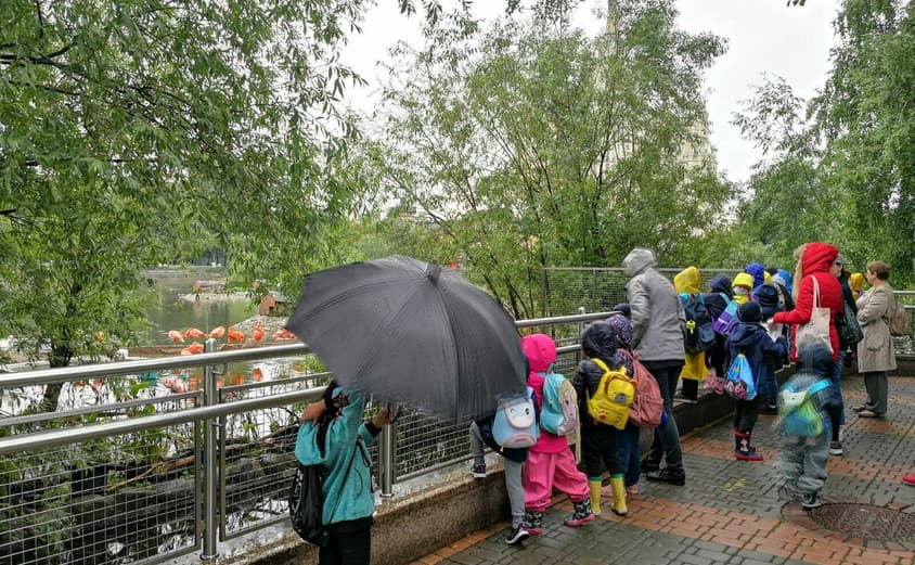 PHOTO 2021 06 18 08 37 501