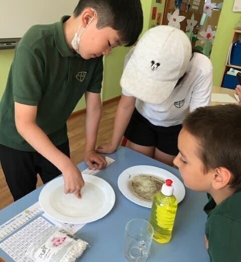 Parting pepper with pointing