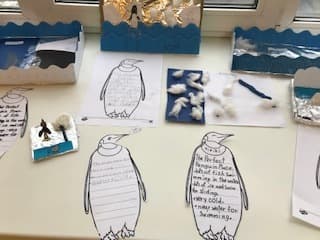 Penguin habitats