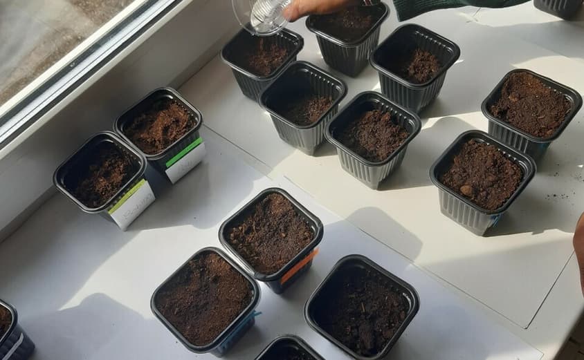 S4 2021 04 16 101216