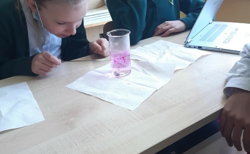 Sus3 2021 03 26 075956