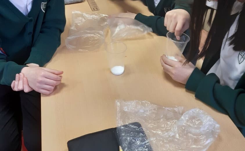 Susan1 2021 01 22 102229