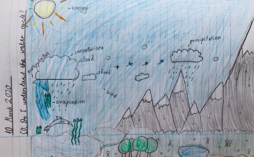Water cycle