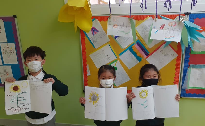 Year 2 Guo Guo Hibiki Geonyul