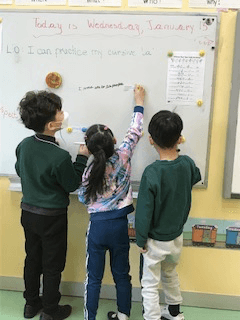 Holly2 2021 01 15 060819