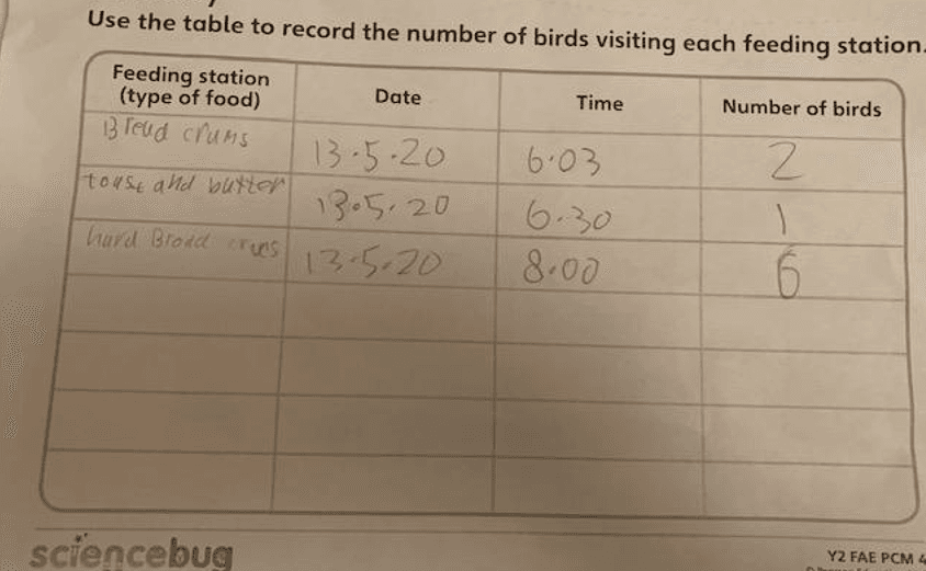 Miras bird record