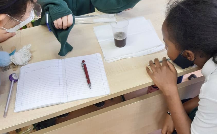 Susan3 2021 01 29 072940