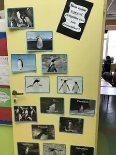 Types of penguins display