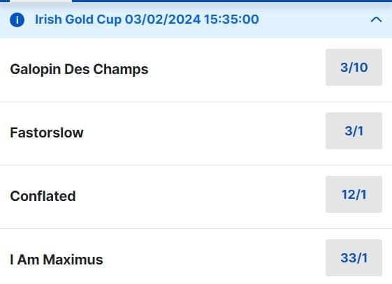2024 Irish Gold Cup Odds