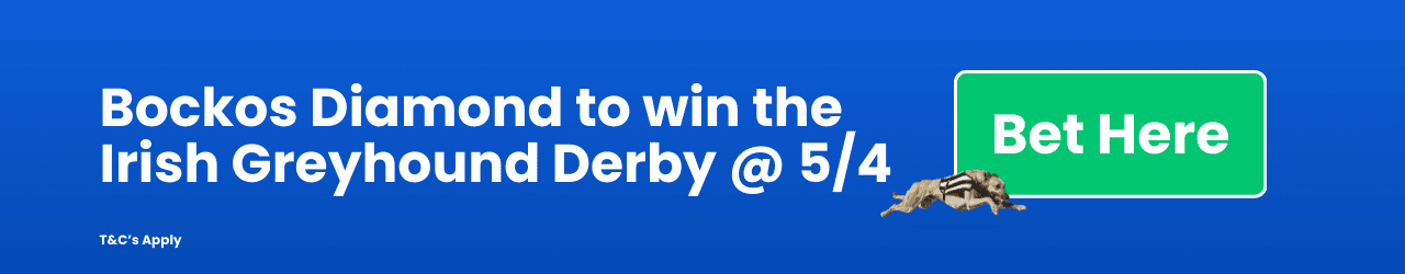 Bockos Diamond to win the Irish Greyhound Derby 5/4 Bockos Diamond to win the Irish Greyhound Derby 5/4