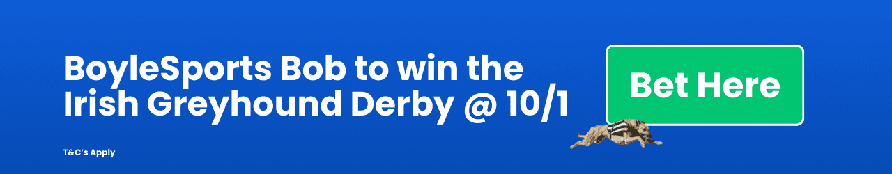 Boyle Sports Bob to win the Irish Greyhound Derby Boyle Sports Bob to win the Irish Greyhound Derby