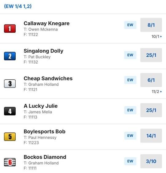 BoyleSports Irish Greyhound Derby Final BoyleSports Irish Greyhound Derby Final