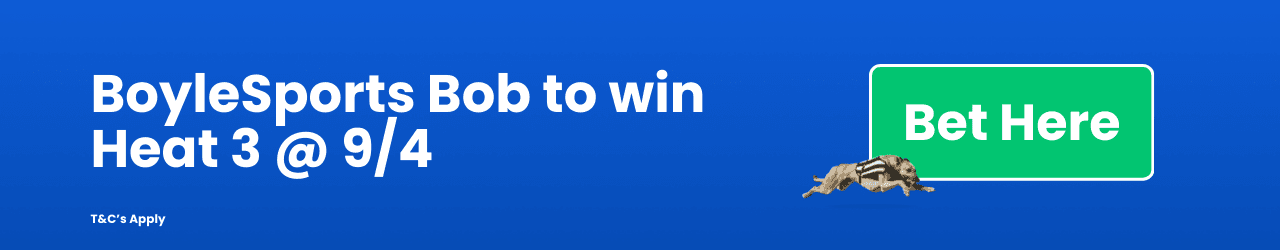 Boyle Sports Bob to win Heat 3 Boyle Sports Bob to win Heat 3