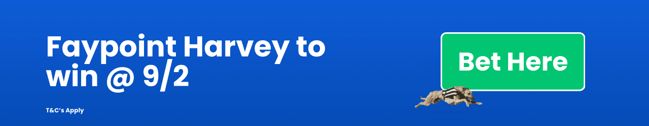 Faypoint Harvey to win Faypoint Harvey to win