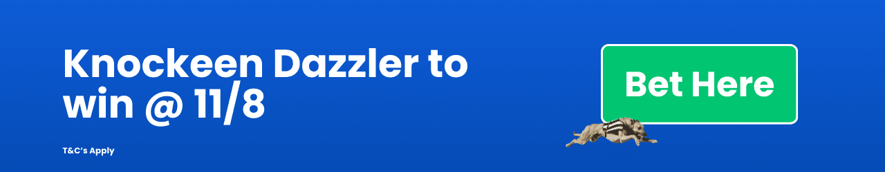 Knockeen Dazzler to win Knockeen Dazzler to win