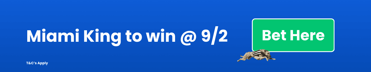 Miami King to win Miami King to win
