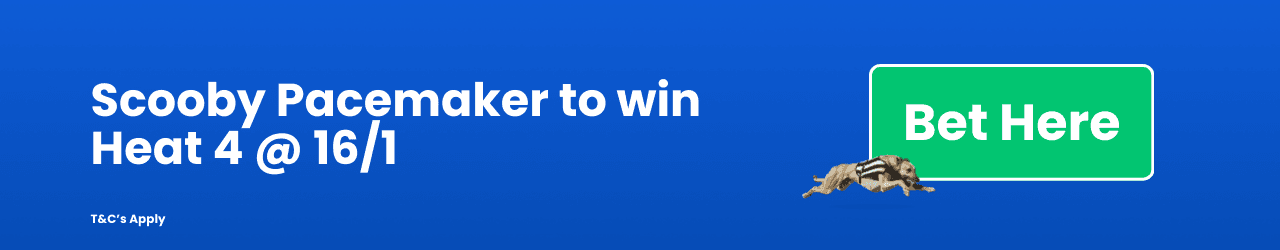 Scooby Pacemaker to win Heat 4 Scooby Pacemaker to win Heat 4