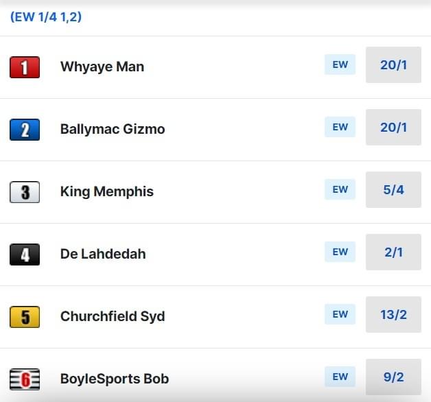2024 English Greyhound Derby Final Odds 2024 English Greyhound Derby Final Odds