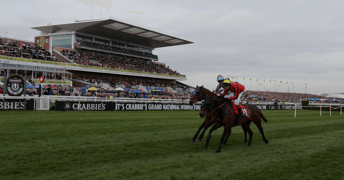 Forget the Favourite: The Trends That Actually Predict Who Wins the…