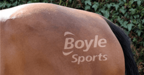 BoyleSports stencil horse BoyleSports stencil horse