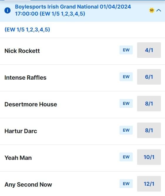 2024 BoyleSports Irish Grand National Odds 2024 BoyleSports Irish Grand National Odds