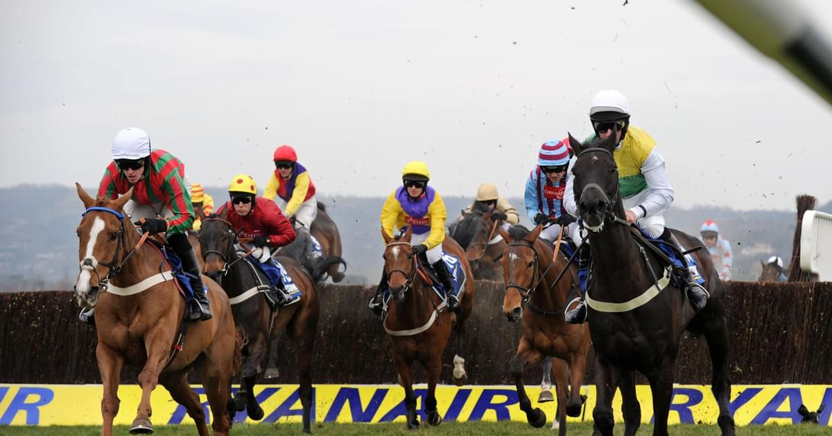 BOYLE Sports Blog | Cheltenham Day 1 Race Card - Tuesday Runners