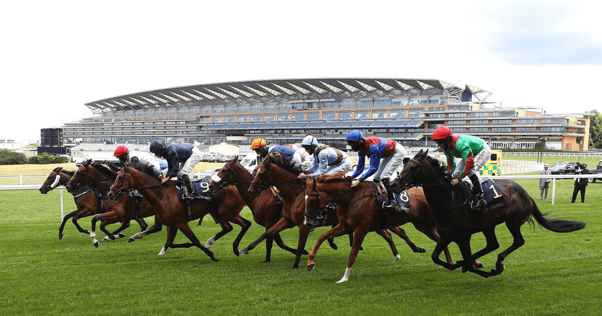 Mick Channon's Royal Ascot Preview