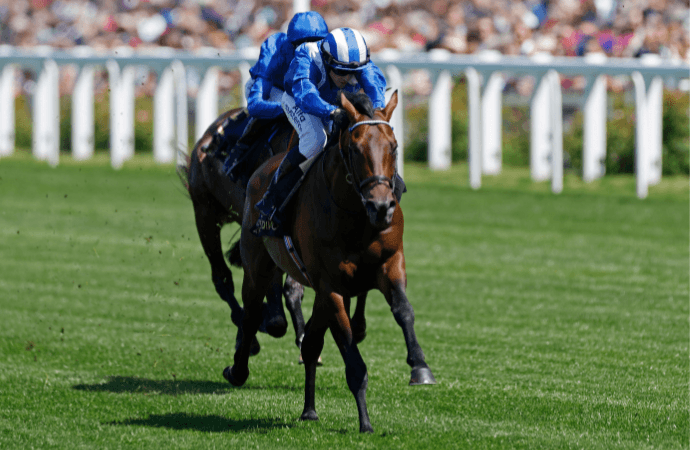 Baaeed at Ascot Baaeed at Ascot